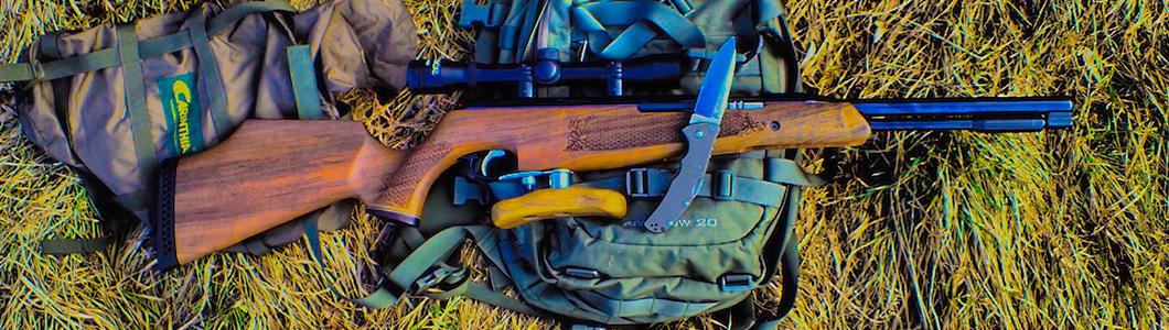 AIR GUNS